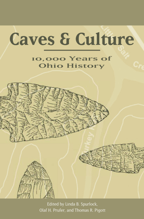 Cover image for book Visible Heavens