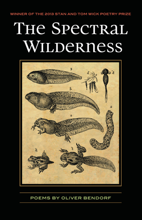 Cover image for book The Spectral Wilderness