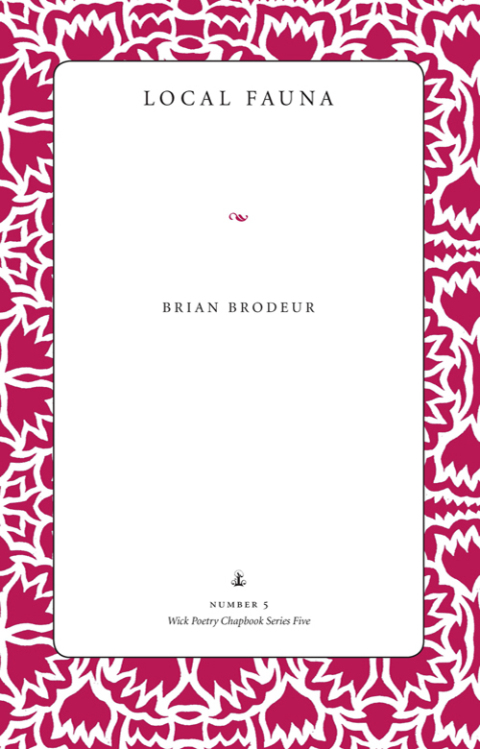 Cover image for book Local Fauna