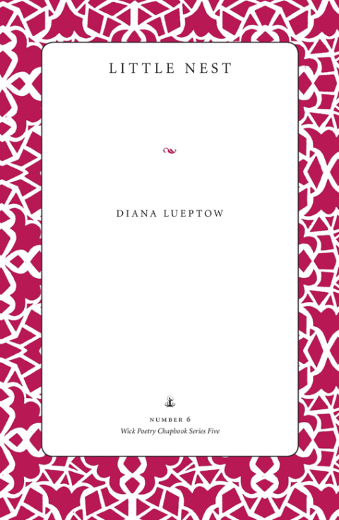 Cover image for book Little Nest