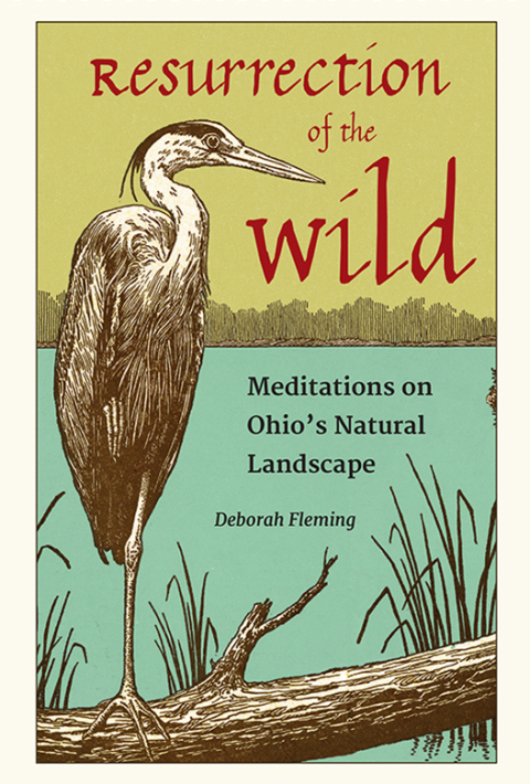 Cover image for book Resurrection of the Wild