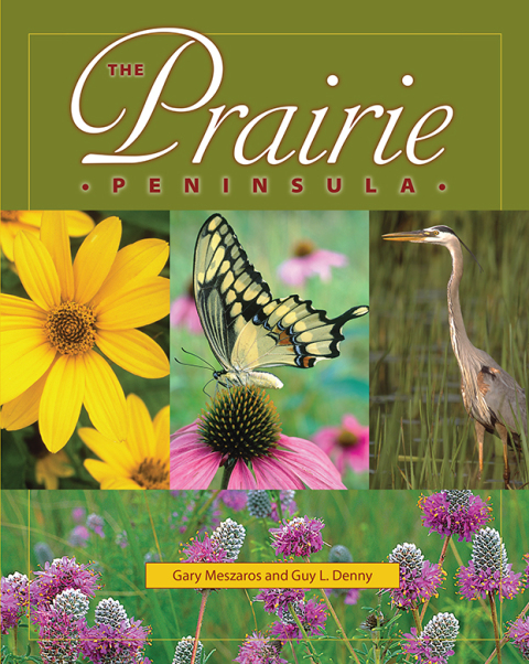 Cover image for book The Prairie Peninsula