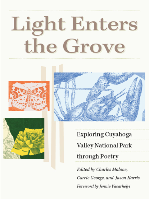 Cover image for book Light Enters the Grove
