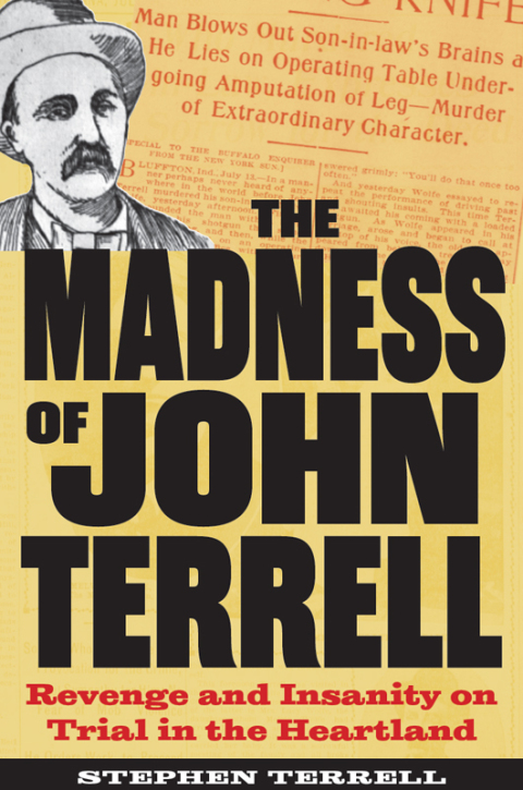 Cover image for book The Madness of John Terrell