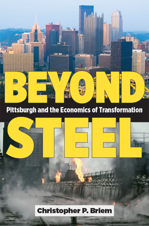 Cover image for book Beyond Steel