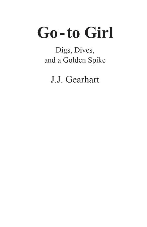 Cover image for book Go-to Girl