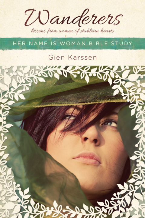 Cover image for book Wanderers