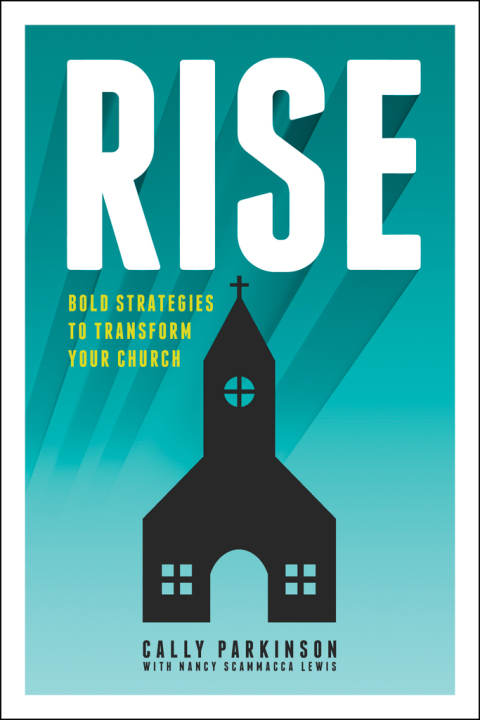 Cover image for book Rise