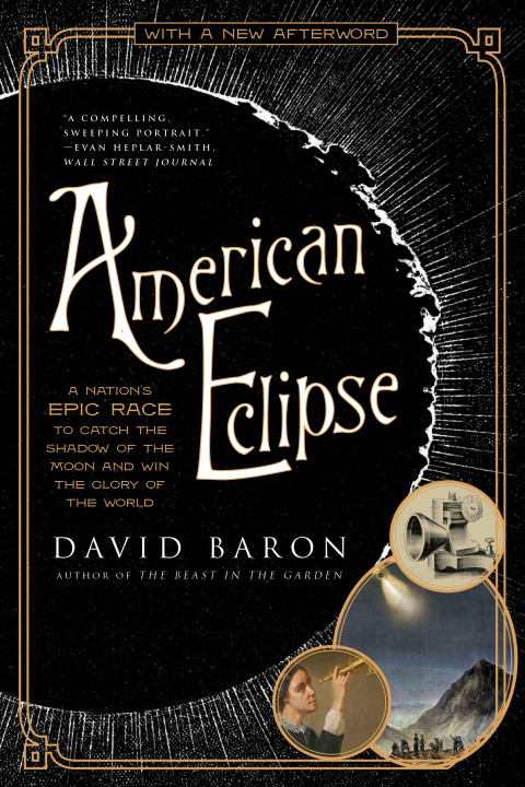 Cover image for book American Eclipse