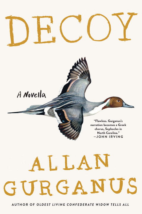 Cover image for book Decoy