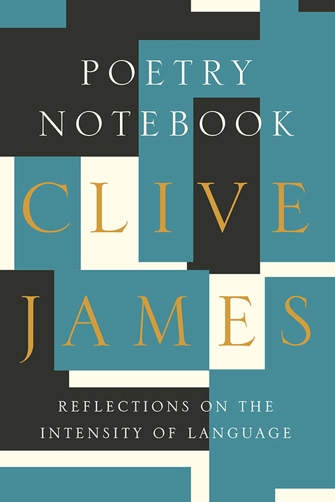 Cover image for book Poetry Notebook: Reflections on the Intensity of Language