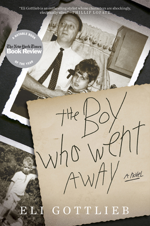 Cover image for book The Boy Who Went Away
