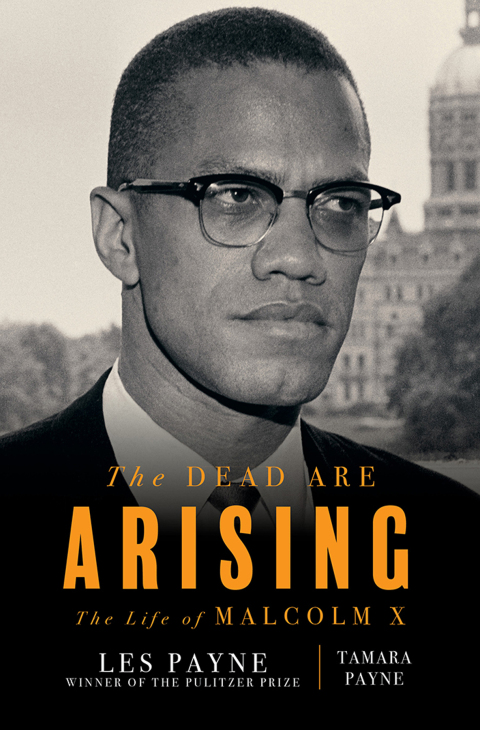 Cover image for book The Dead Are Arising