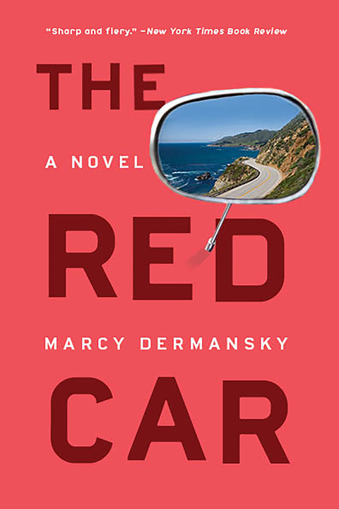 Cover image for book The Red Car