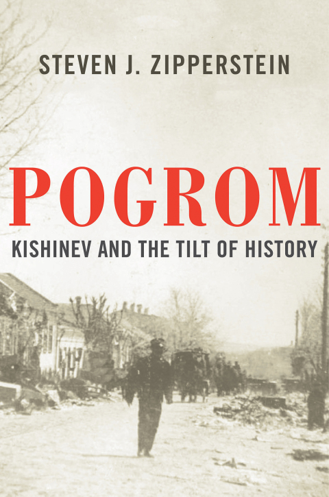Cover image for book Pogrom