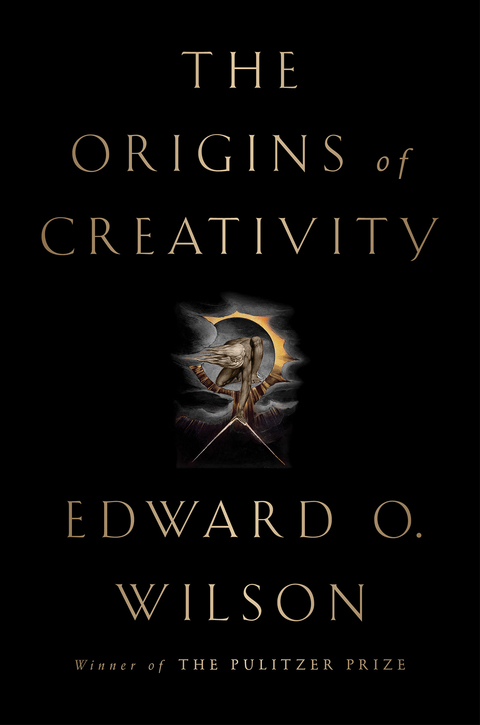 Cover image for book The Origins of Creativity