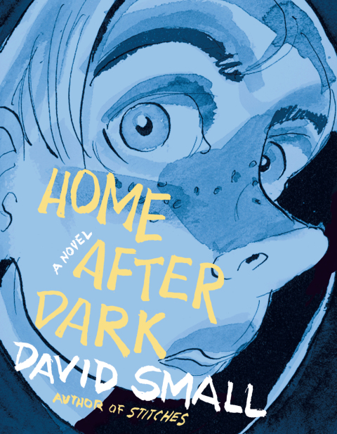 Cover image for book Home After Dark