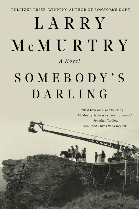 Cover image for book Somebody's Darling