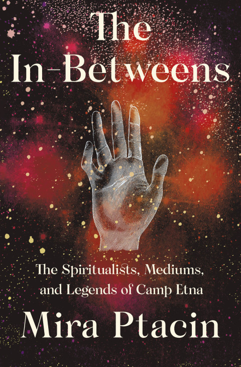 Cover image for book The In-Betweens