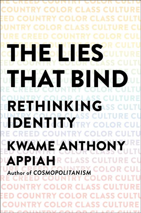 Cover image for book The Lies that Bind