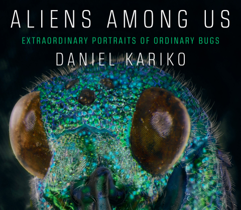 Cover image for book Aliens Among Us