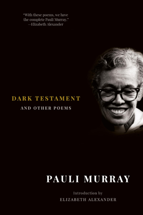 Cover image for book Dark Testament