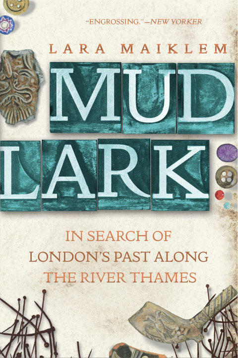 Cover image for book Mudlark