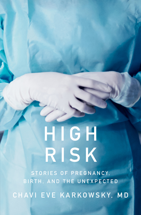 Cover image for book High Risk