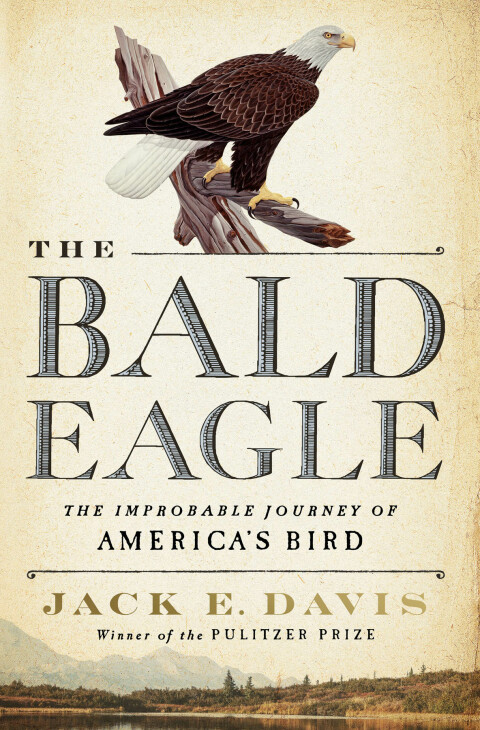 Cover image for book The Bald Eagle