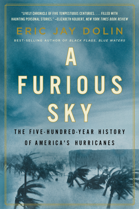 Cover image for book A Furious Sky