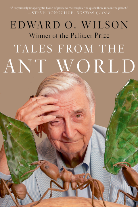 Cover image for book Tales from the Ant World