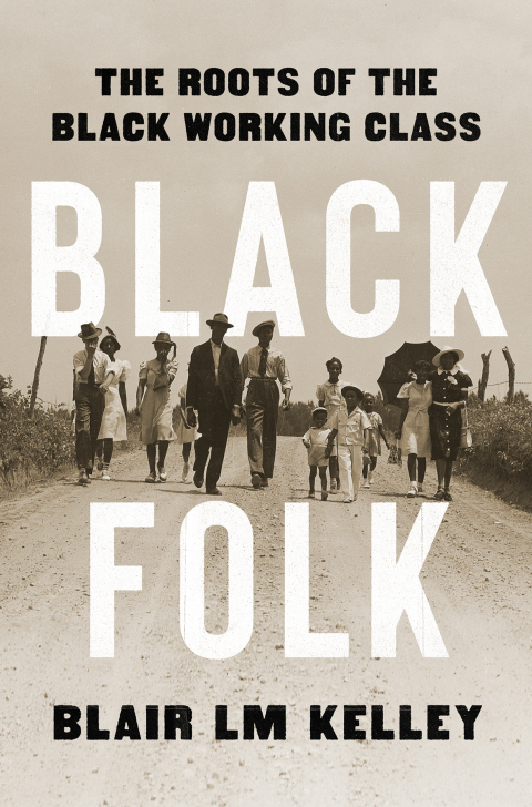 Cover image for book Black Folk: The Roots of the Black Working Class