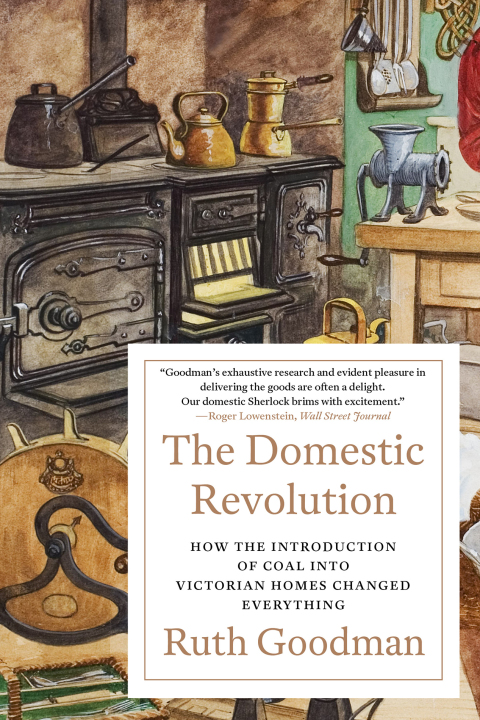Cover image for book The Domestic Revolution