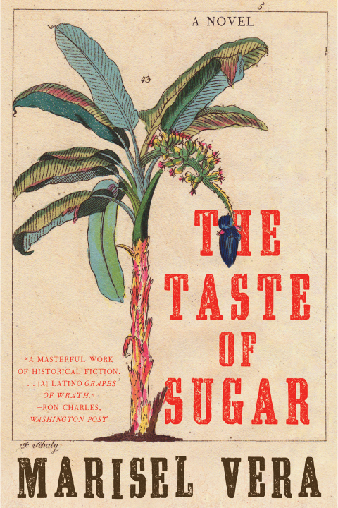 Cover image for book The Taste of Sugar
