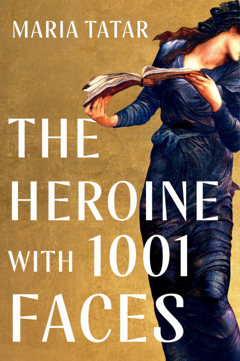 Cover image for book The Heroine with 1001 Faces