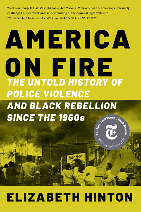Cover image for book America on Fire