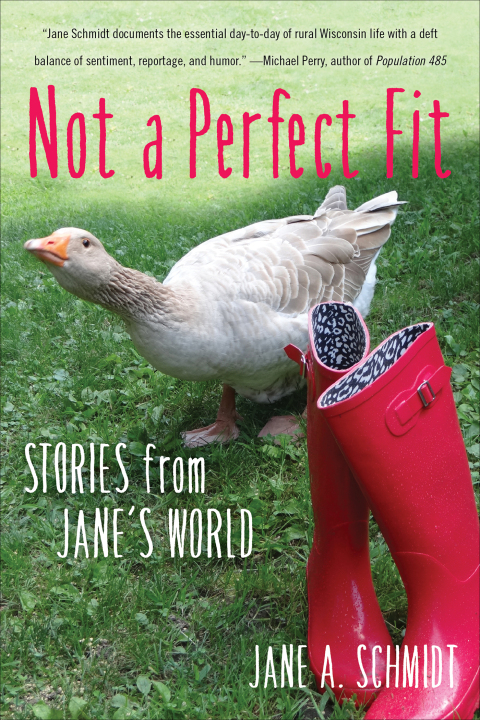 Cover image for book Not a Perfect Fit
