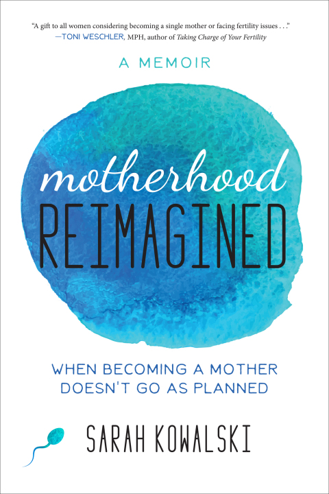 Cover image for book Motherhood Reimagined