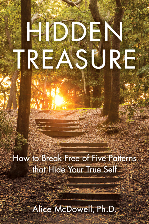 Cover image for book Hidden Treasure