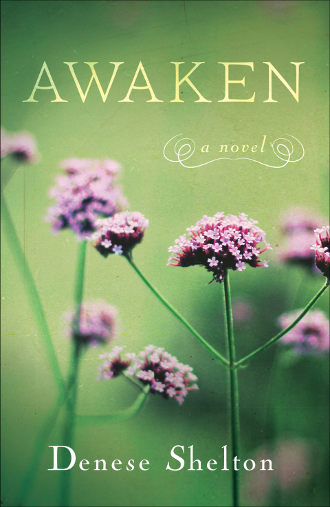 Cover image for book Awaken