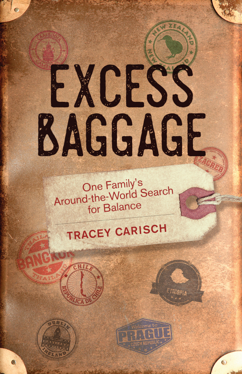 Cover image for book Excess Baggage