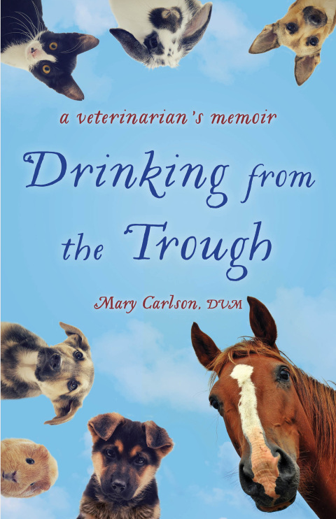 Cover image for book Drinking from the Trough