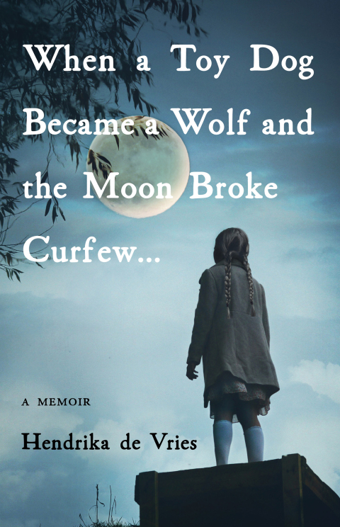Cover image for book When a Toy Dog Became a Wolf and the Moon Broke Curfew