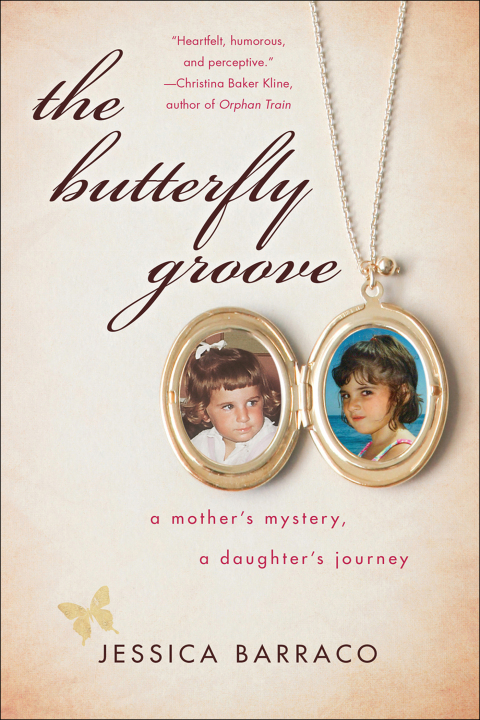 Cover image for book The Butterfly Groove