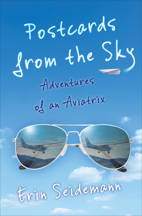 Cover image for book Postcards from the Sky
