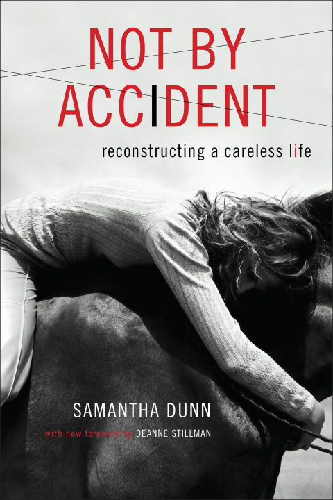Cover image for book Not by Accident