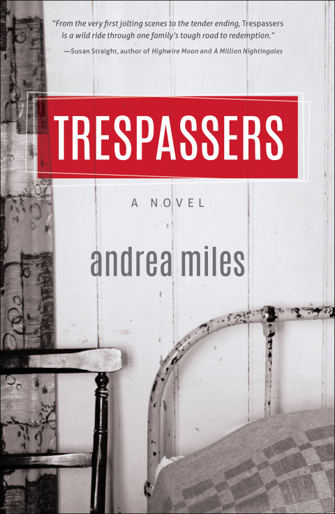 Cover image for book Trespassers