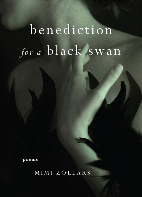 Cover image for book benediction for a black swan