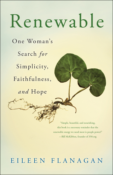 Cover image for book Renewable