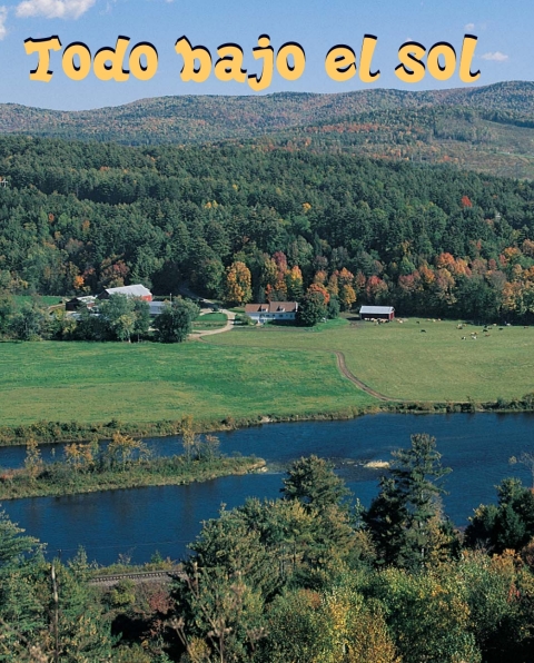 Cover image for book Todo bajo el sol